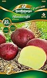 Quedlinburger 84002 Kartoffel Romanze (10 Stück) (Pflanzkartoffeln)