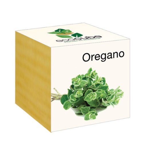 Ecocube Oregano im Holzwürfel