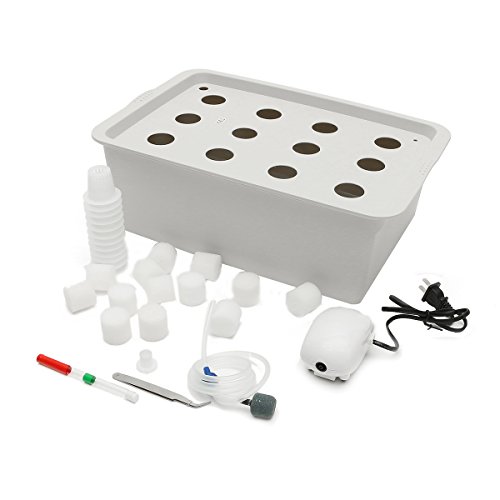 ExcLent 220V Hydroponic System Kit 12 Löcher Dwc Soilless Anbau Indoor Water Planting Grow Box